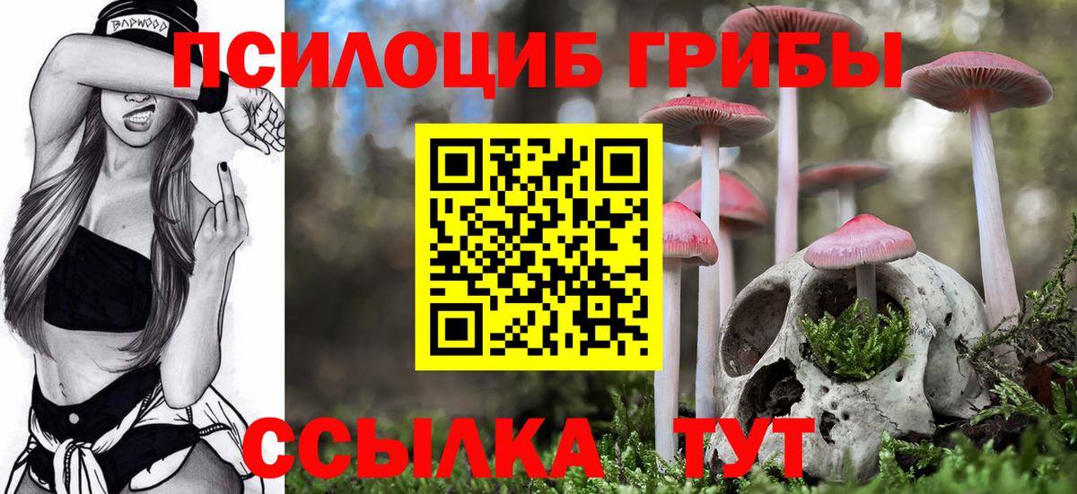 Ишим  Галлюциногенные грибы GOLDEN TEACHER  Псилоцибиновые грибы Cubensis  Вход с VPN 